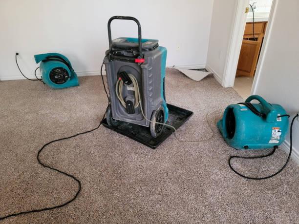 Best Water damage restoration near me  in Beach, ND